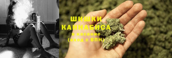 ПСИЛОЦИБИНОВЫЕ ГРИБЫ Козельск