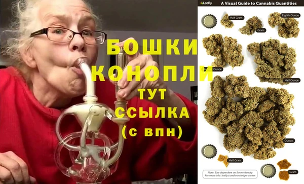 ПСИЛОЦИБИНОВЫЕ ГРИБЫ Иннополис