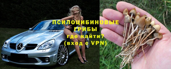 ПСИЛОЦИБИНОВЫЕ ГРИБЫ Козельск