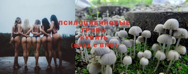 прущая мука Кодинск