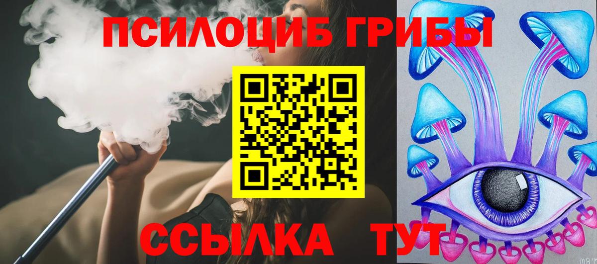 Галлюциногенные грибы Cubensis  Галлюциногенные грибы прущие грибы  Вход с VPN  Фурманов 